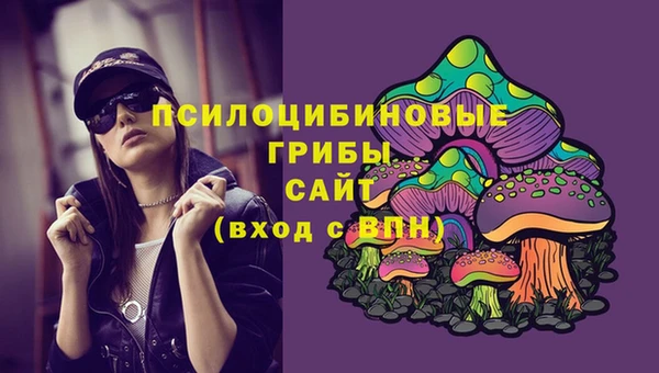 дурь Арсеньев